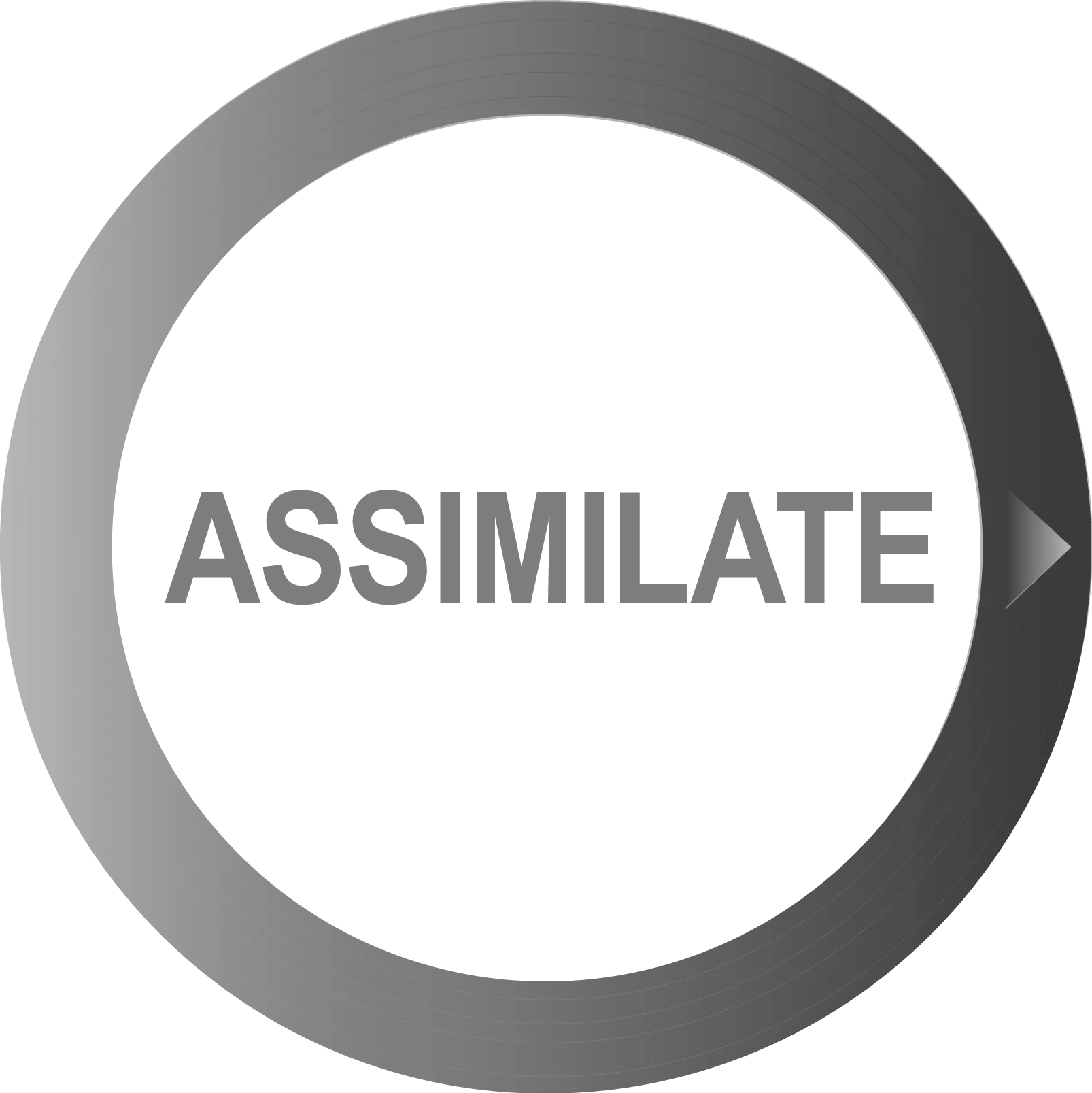 Assimilate Scratch